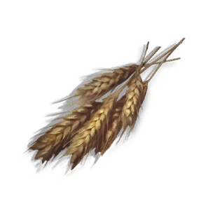 Ice Wheat - Grafting Output in Once Human