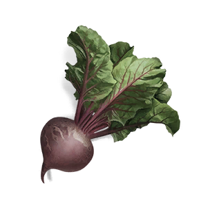 Beet Roll