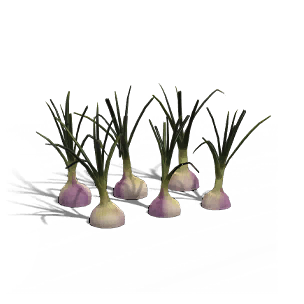 Onion Roll - Grafting Output in Once Human