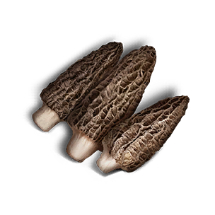 Morel Roll