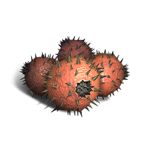 Sweet Spikemato