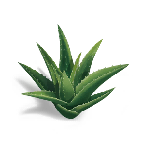 Saffron Aloe - Grafting Output in Once Human