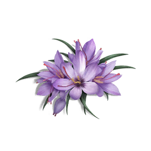 Sage Saffron - Grafting Output in Once Human