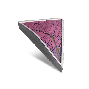 Windspeak 1/2 Height Inv Tri Roof