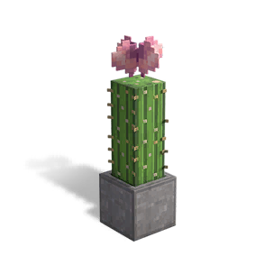 Block Cactus Flower