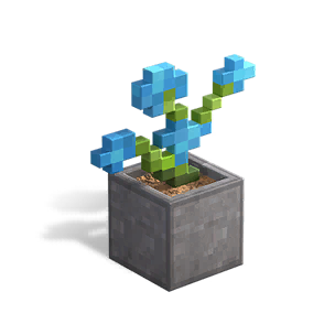 Block Orchid