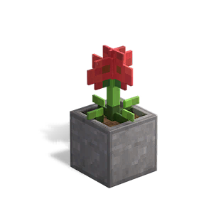 Block Corn Poppy