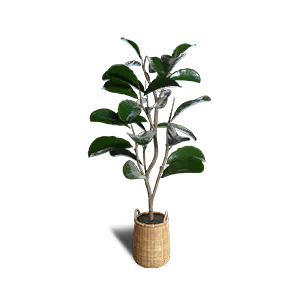 Fiddle-Leaf Fig Planter - Facilities in Once Human