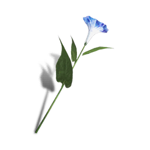 Petunia - Blue