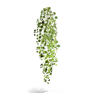 Wall Vines Ⅲ