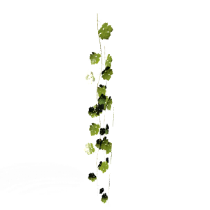 Wall Vines Ⅳ