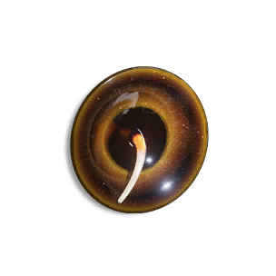 Curved Dimension