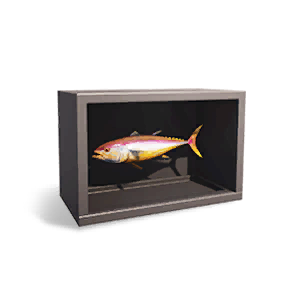 Tuna Specimen Ⅱ