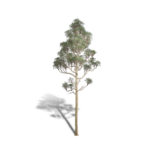 Red Pine 1 - Facilities in Once Human