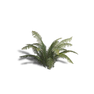 Fern 1 - Facilities in Once Human