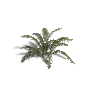 Fern 2 - Facilities in Once Human