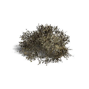 Shrub 2 - Facilities in Once Human