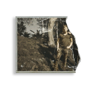 Half A Picture - Mission Item in Once Human