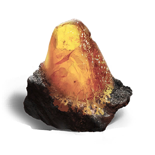 Source of Ravenous Hunter - Mission Item in Once Human