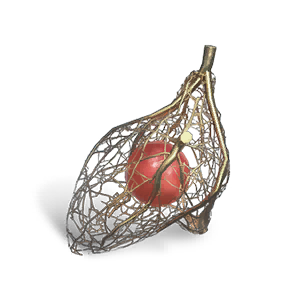 Nova Harveseed