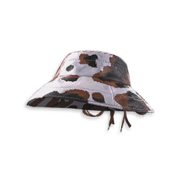 Sunny Ranch Hat