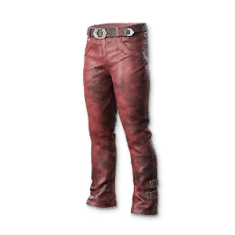 Trendy Echo