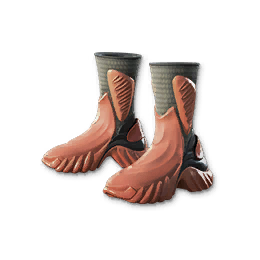 Awakening Shoes