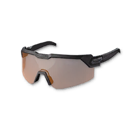 Swiftwing Ranger Goggles