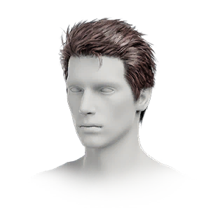 Hairstyle: Dignified (M)