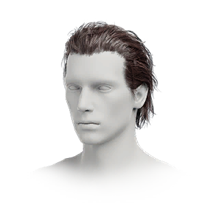 Hairstyle: Celebrity (M)