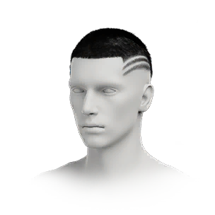 Hairstyle: Labyrinth Return (M)