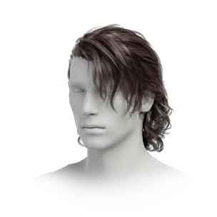 Hairstyle: Flying (M)
