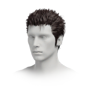 Hairstyle: Swordsman (M)