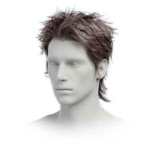 Hairstyle: Fountain (M)