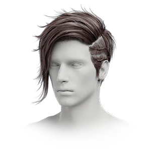 Hairstyle: Flame Core (M)