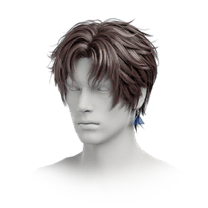 Hairstyle: Starwish Guardian (M)