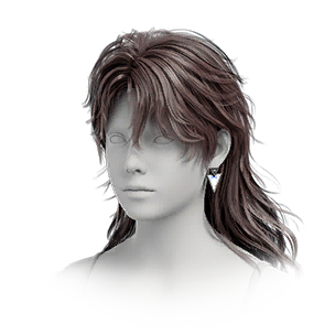 Hairstyle: Celestial Skyrend (F)