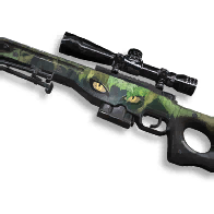 AWS.338 - Black Panther