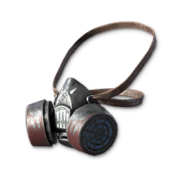 Raid Mask