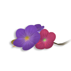 Tropical Flower - Accessories in Once Human