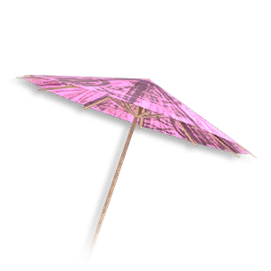 Stylish Paper Umbrella