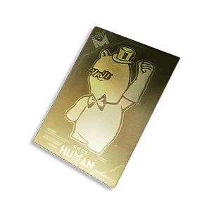 Meta Pass