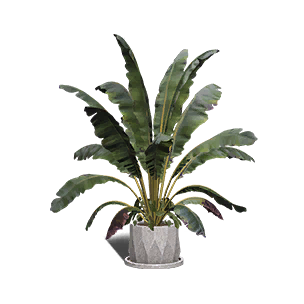Broadleaf Plantain crafting recipe in Once Human