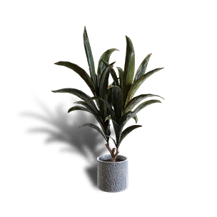 Green Cordyline Potted Plant crafting recipe in Once Human