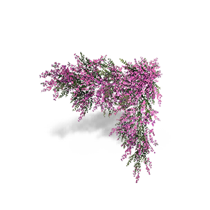 Bougainvillea - Grace crafting recipe in Once Human