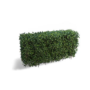 Shrub - Rectangle crafting recipe in Once Human