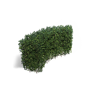 Shrub - Ring crafting recipe in Once Human