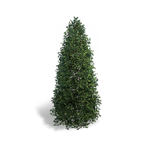 Conical Dwarf Tree - Green Tower crafting recipe in Once Human