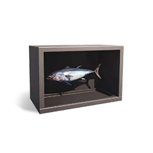 Tuna Specimen Ⅰ