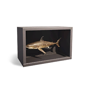 Shark Specimen Ⅱ